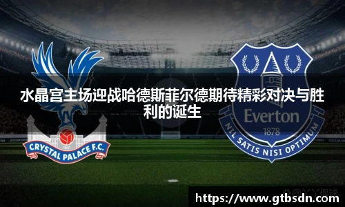 水晶宫主场迎战哈德斯菲尔德期待精彩对决与胜利的诞生
